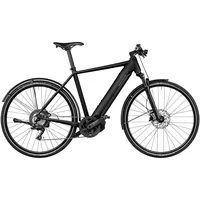 Riese & Müller Riese - Müller Roadster touring grey
