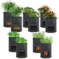 casativo-garden Pflanzsack 10L