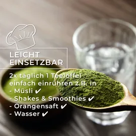 greatvita Bio Gerstengras Pulver 800 g