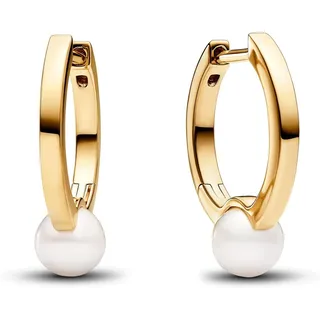 Pandora Creolen 263170C01 Ohrringe