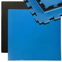 Eyepower 90x90cm XL Trainingsmatte - 25mm dicke Sportmatte mit Rand