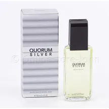 PUIG Quorum Silver Eau de Toilette 100 ml
