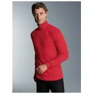 Rollkragenshirt TRIGEMA "TRIGEMA Langarm Ski- und Sport-Rollkragenpullover", Herren, Gr. L, braun (kirsch), 100% Baumwolle (Bio-Baumwolle kbA), Basic, Shirts