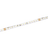 Radium Essence 2200 LED-Strip, 5 m, tunable white