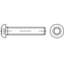 TOOLCRAFT Linsenschrauben M10 20 mm 200 Stück