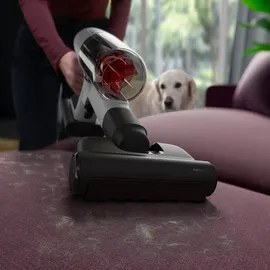 AEG Animal 8000 Akku-Staubsauger AP81AB25UG