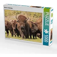 Calvendo Puzzle Bisons in Manitoba 1000 Teile Lege-Größe 64