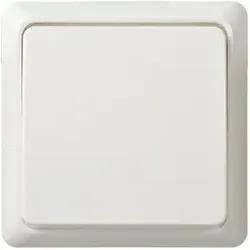Elso 512104 Taster 10A komplett RENOVIERUNG Schraubklemme reinweiß