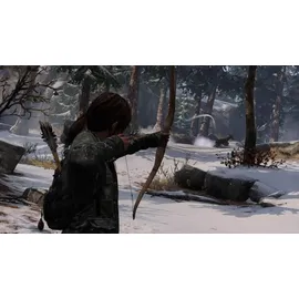 The Last of US Remastered