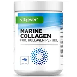 Vit4ever Marine Kollagen Pulver 500 g