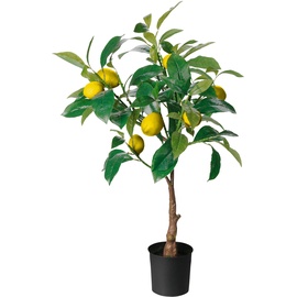 Amarehome Dekopflanze Zitronenbaum im Topf 70 cm