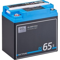 ECTIVE DC 65S GEL Deep Cycle mit LCD-Anzeige 65Ah Versorgungsbatterie,