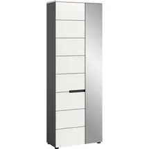 Home Affaire REHAT Dielenschrank 65x37x190 grau