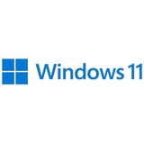 Microsoft Windows 11 Pro EN