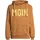 salzhaut Hoodie Heff - Moin Muster Braun/Gelb L