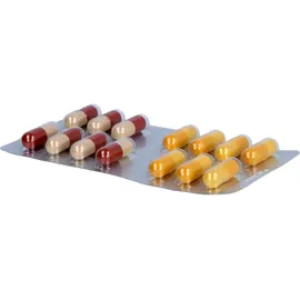 Hennig Arzneimittel GmbH & Co. KG Trivital immun Kapseln 14 St