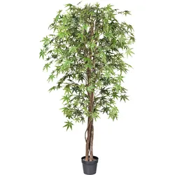 Kunstbaum »Japanischer Fächerahorn«, mit Naturstamm, 99145957-0 grün H: 200 cm