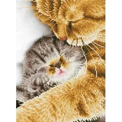 DIAMOND DOTZ® DD7.037 Original Diamond Painting Katze Tender Moment“ 30 x 41 cm