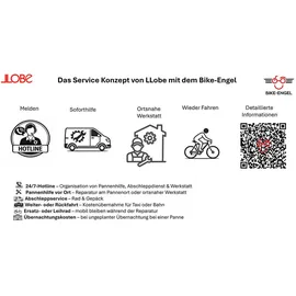 Llobe City E-Bike 26 Zoll RH 125 cm beige