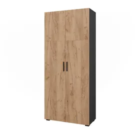 Vicco Ingo Aktenschrank 80 x 183,8 cm Anthrazit/Goldkraft Eiche