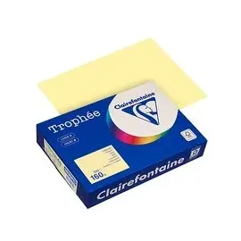 Clairefontaine Trophee A4 160 g/m2 250 Blatt