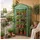 EDENIA Mini Folien Gewächshaus 4 etagig 68 x 49 x 158 cm