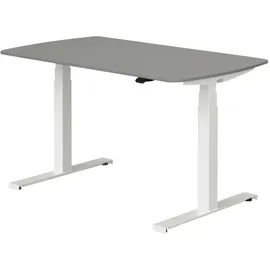 Paidi Kinderschreibtisch E-Lion Grau