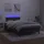 vidaXL Boxspringbett mit Matratze & LED Schwarz 120x200 cm Samt