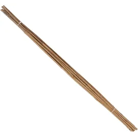 elmar jung product solutions gmbh & co. kg Tonkin-Pflanzstab Ø 6-8 mm 90 cm 10er Bund