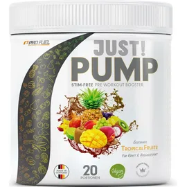 ProFuel Tunnelblick Pump Tropical Fruits Pulver 440 g