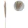 Marrakesch Orient & Mediterran Interior Pampasgras Trockenblumen Natur | Pampaszweig Deko 135cm