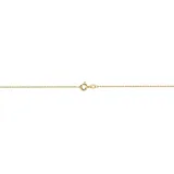 FIRETTI Fußkette FIRETTI "Schmuck Geschenk Gold 333 / 585 Körperschmuck Ankerkette diamantiert" Gr. 25, gold (gelbgoldfarben), Fußketten, Damen, 25, Gelbgold 333, Made in Germany