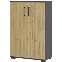Germania Aktenschrank Profi 3.0, 4247-564 grafit, grandson-eiche 2 Fachböden