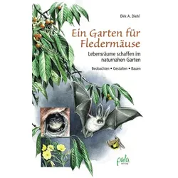 Ein Garten für Fledermäuse