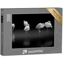 puzzleYOU Puzzle Schlafende Flamingos im Wasser, schwarz-weiß, 2000 Puzzleteile, puzzleYOU-Kollektionen Fotokunst