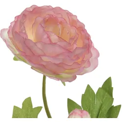 Ranunkel mit Blüte und Knospe am Stiel Kunstblume Dekoblume H: 57cm rosa