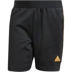 adidas Sportswear House of Tiro Nations Pack Sweatshorts Herren IW8868 - black/team victory red/st tan M