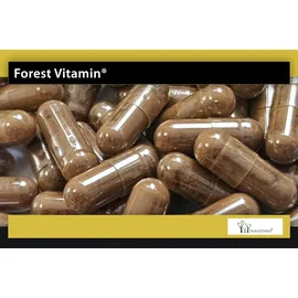 Forest Vitamin Mumio Shilajit Kapseln 100 St.