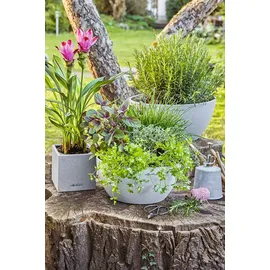 LECHUZA Canto Stone low 40 Komplettset 40 x 40 x 40 cm quarzweiß