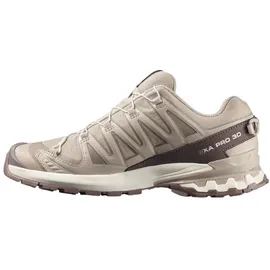 Salomon XA Pro 3D V9 Herren Eucalyptus / Eucalyptus / Iron 46,5