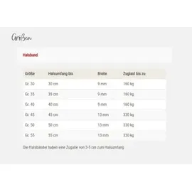 Wolters Everest-Tauprogramm Halsband türkis/gelb 55 cm