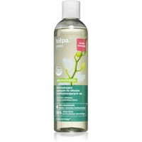 Tołpa Green NORMALISIERUNG Shampoo für FETTIGES HAAR 300ML