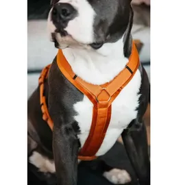 Kentucky Active Velvet Hundegeschirr - Orange - 48-70 cm