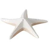 Boltze Seestern Shelby, 17 x 16 x 3 cm)