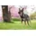 Wolters Professional Comfort Hundegeschirr Olive/Schwarz 50-60 cm
