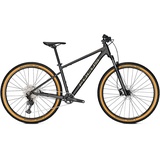 Focus Whistler 3.9 2023 27,5 Zoll RH 38 cm