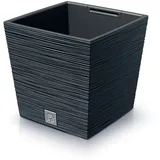 Prosperplast Furu Square 29,5 x 29,5 x 29 cm Anthrazit