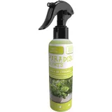 Paradise Scents Zitronengras-Wasser