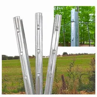 Trutzholm Z-Profil Zaunpfosten 10 x 215 cm Verzinkt/Silber