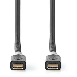 Nedis USB-C 2,00 m Gold
